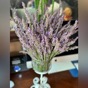 Meet your Posher, Bey